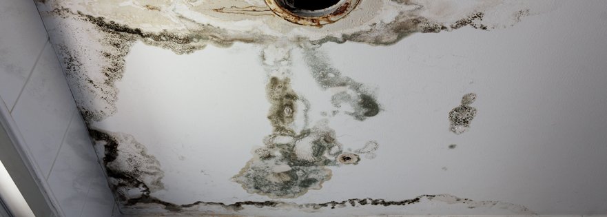 Consider Professional Mold Damage Restoration in Fountain CO for a Comfortable Home