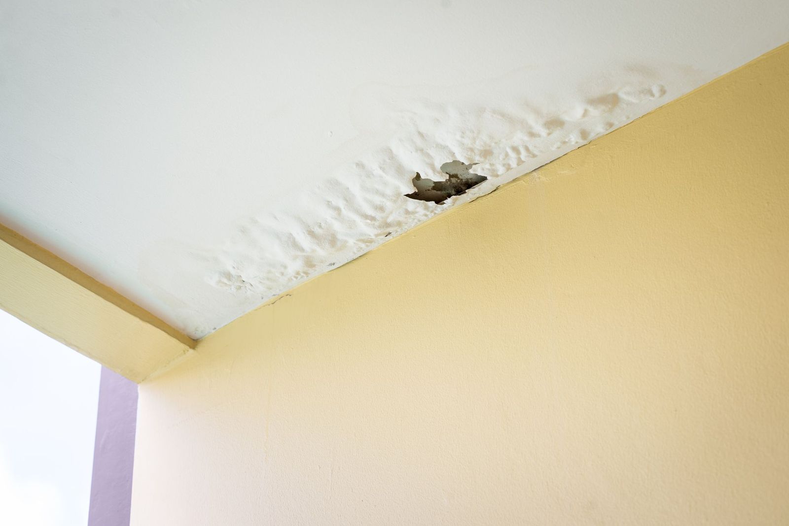 Benefits of Hiring Water Damage Restoration Services in Texas